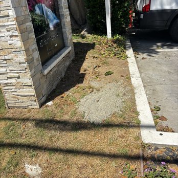 PMP Management - Entrance of club house, what's this ? Gardners don't pick up this ? - Homeowner Association Near Me - Los Angeles, California PMP Management - Entrance of club house, what's this ? Gardners don't pick up this ? - Homeowner Association Near Me - Los Angeles, California