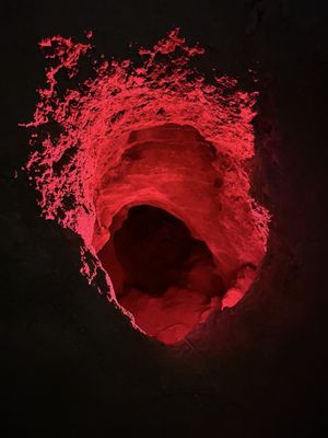 The Lost Sea Adventure by null