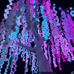 Entwined Lighted Forest