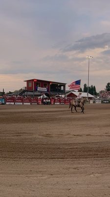 Jackson Hole Rodeo by null
