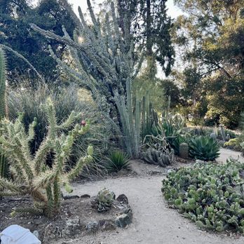 Arizona Garden - Botanical Gardens Near Me - Stanford, California Arizona Garden - Botanical Gardens Near Me - Stanford, California