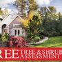 Photo of Tree King Tree Services