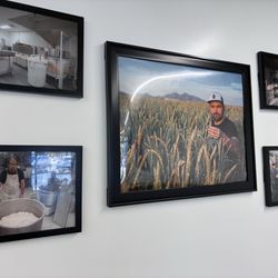 Proof Bread - Story of the grain