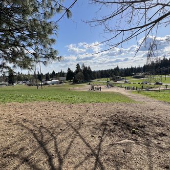 Ike Memorial Off-leash Dog Park - Dog Parks Near Me - Vancouver, Washington Ike Memorial Off-leash Dog Park - Dog Parks Near Me - Vancouver, Washington