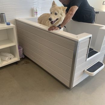 The Doggy Detail - Even our 80lb sweet boy didn't mind too much! - Pet Groomers Near Me - Lake Forest, California