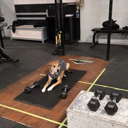 Polarize CrossFit