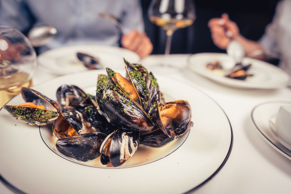 BRASSERIE HANSKEN Updated October 2024 36 Photos & 14 Reviews Christiania torv 4, Oslo