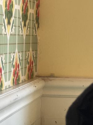 Billy's Bakery - Upper West Side by null