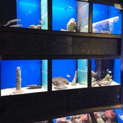 Aquarium Holgen