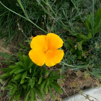 Anaheim Coves - Parks Near Me - Anaheim, California