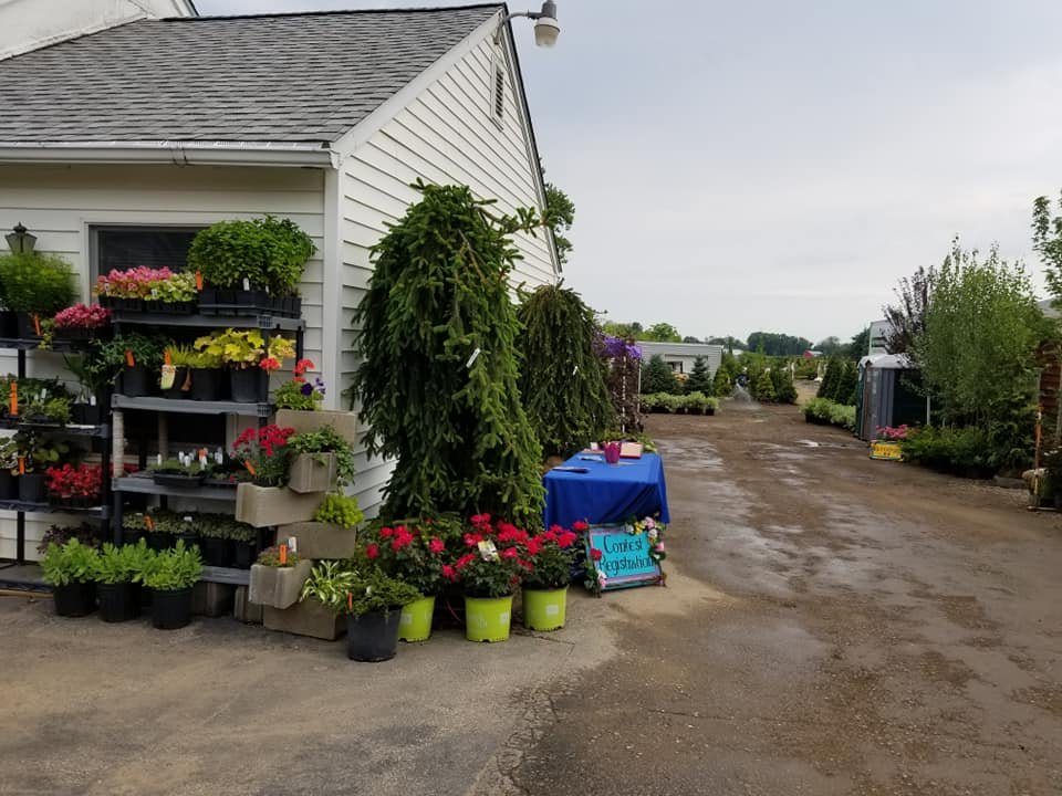 SPRINGLAKE NURSERY Updated August 2024 14 Photos 3023 Narrows Rd