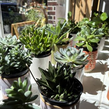 Cedarhouse Flowers Pop-up - Nurseries & Gardening Near Me - Seattle, Washington Cedarhouse Flowers Pop-up - Nurseries & Gardening Near Me - Seattle, Washington