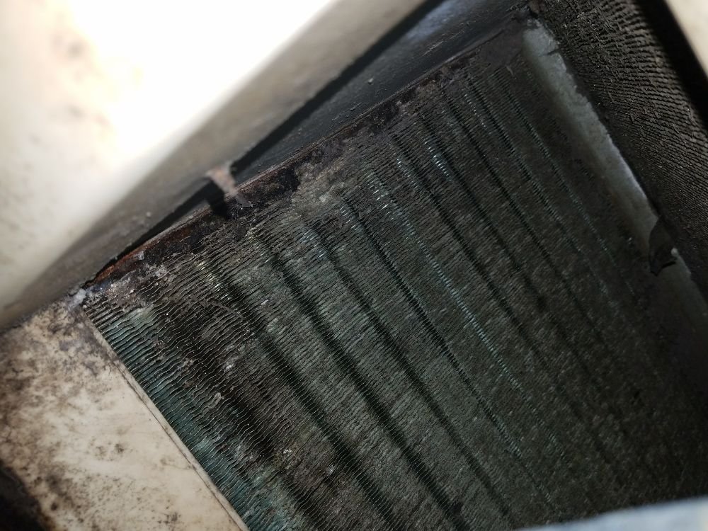 Slide of Daniel Dolinger Property Prep