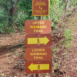 Choose which you way!