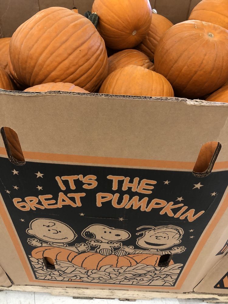 SHOPPERS FOOD WAREHOUSE Updated October 2024 90 Photos & 26 Reviews