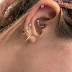 Hummingbird - Daith & helix