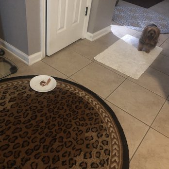 Anthony's Pizza - My dog won't even eat the dry disgusting sausage! - Pizza Near Me - DeLand, Florida Anthony's Pizza - My dog won't even eat the dry disgusting sausage! - Pizza Near Me - DeLand, Florida