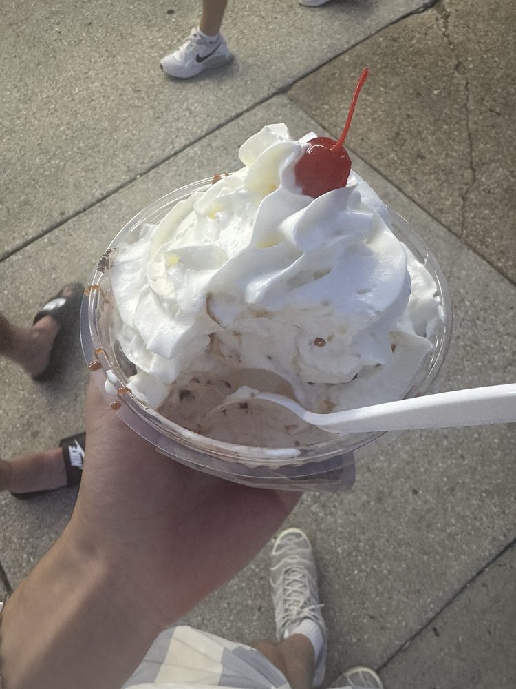 Dairy Delight Logo