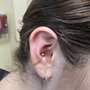 Piercing Perfections