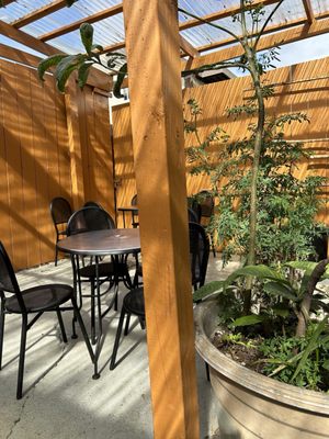 King of Kabab by null