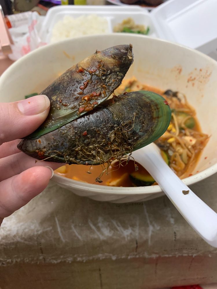 SEOUL RESTAURANT 56 Photos & 68 Reviews 207 Iberville Dr, Biloxi