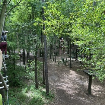 Orlando Tree Trek - Challenge Courses Near Me - Kissimmee, Florida Orlando Tree Trek - Challenge Courses Near Me - Kissimmee, Florida
