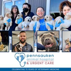 Pennsauken Animal Hospital