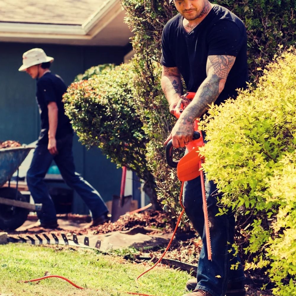 VARGASON LANDSCAPING Banner Elk, North Carolina Landscaping Phone Number Yelp