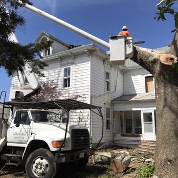 Advantage Tree Services - Tree Services Near Me - Davenport, Iowa