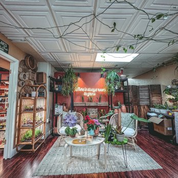 The Growing Groves Plant Shop - Nurseries & Gardening Near Me - Davis, California The Growing Groves Plant Shop - Nurseries & Gardening Near Me - Davis, California