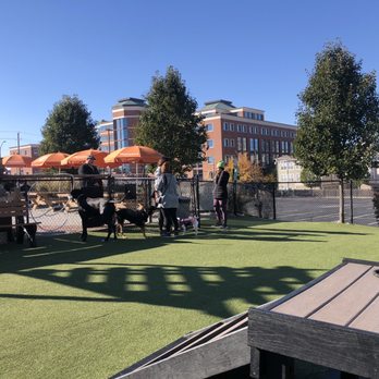 Metazoa Brewing Company - Outside at the dog park - Breweries Near Me - Indianapolis, Indiana