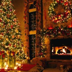Stan's Fireplace Services