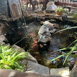 JoJo's - Pond on patio