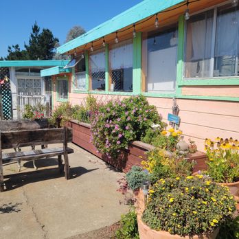 Shelldance Orchid Gardens - Nurseries & Gardening Near Me - Pacifica, California