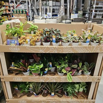 Lowe's Home Improvement - Appliances Near Me - Leander, Texas
