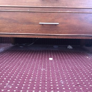 Harrah's Laughlin - A Caesars Rewards Destination - Dust and TRASH under night stand. Also, gross carpet. - Hotels Near Me - Laughlin, Nevada Harrah's Laughlin - A Caesars Rewards Destination - Dust and TRASH under night stand. Also, gross carpet. - Hotels Near Me - Laughlin, Nevada