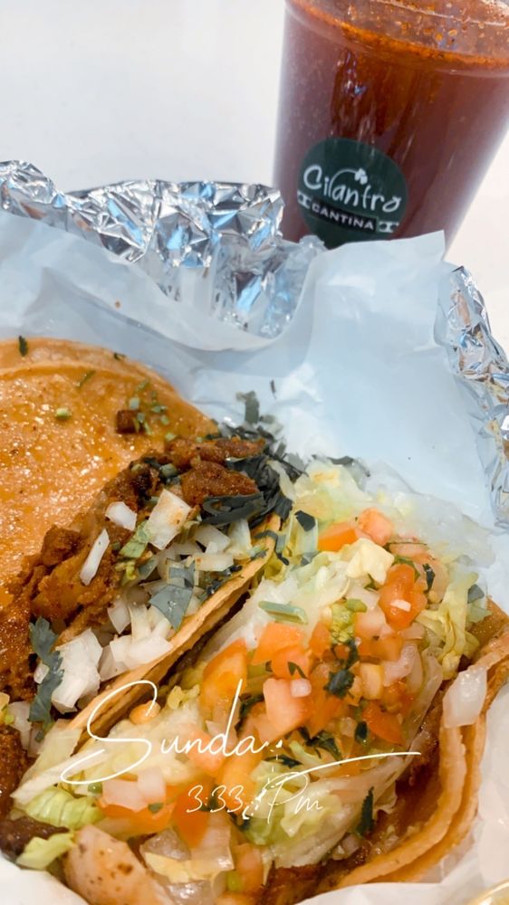 CILANTRO TACO GRILL Updated September 2024 140 Photos & 86 Reviews