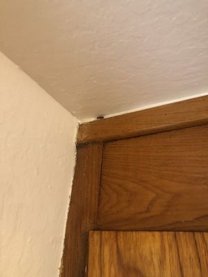 Beacon Properties by null