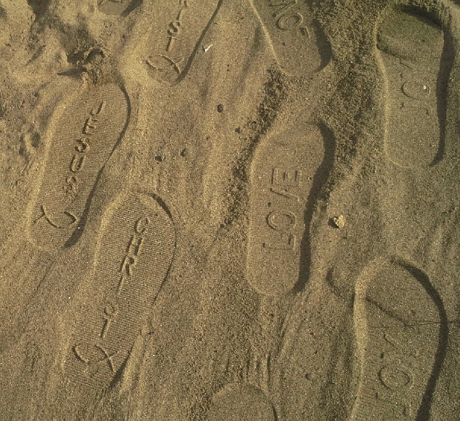 Love Sole Shoes Logo