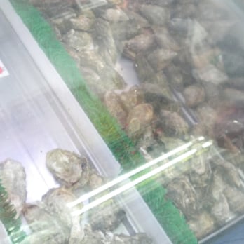 New Century Seafood - a display of fresh oysters - Seafood Markets Near Me - San Francisco, California New Century Seafood - a display of fresh oysters - Seafood Markets Near Me - San Francisco, California