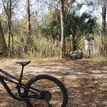 Alafia River State Park - Hiking Near Me - Lithia, Florida