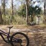 Photo of Alafia River State Park