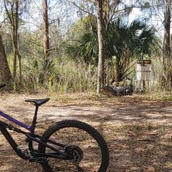 Alafia River State Park