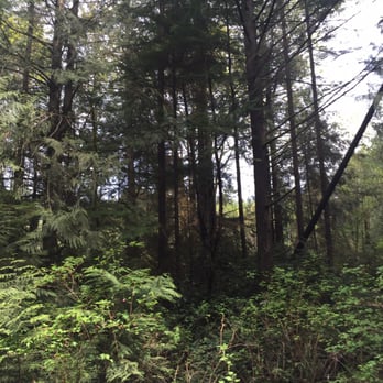 Cushman Powerline Trail - Parks Near Me - Gig Harbor, Washington