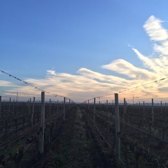 Rutini - Awesome sunrise 7am - Wineries Near Me - Tupungato, M Rutini - Awesome sunrise 7am - Wineries Near Me - Tupungato, M