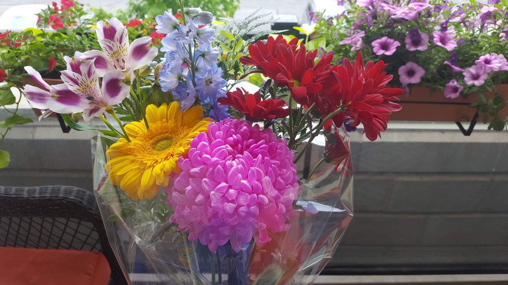 FOUR SEASONS FLOWERS Updated May 2024 666 Woolwich Street, Guelph