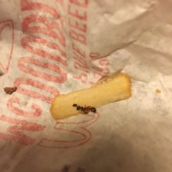 McDonald's - A dead ant in my French fries. Gross!