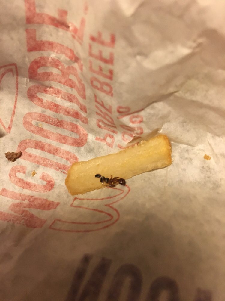 MCDONALD’S Updated September 2024 22 Reviews 2302 Main St, Gatesville, Texas Burgers