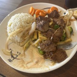 Ninja Hibachi Grill - Steak