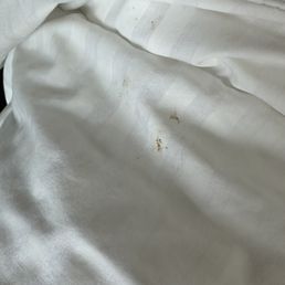 The fold on the bed that was clearly not washed. The fold on the bed that was clearly not washed.